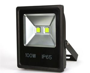 LED Floodlight 100W