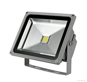 50W LED Floodlight